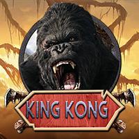 fun image